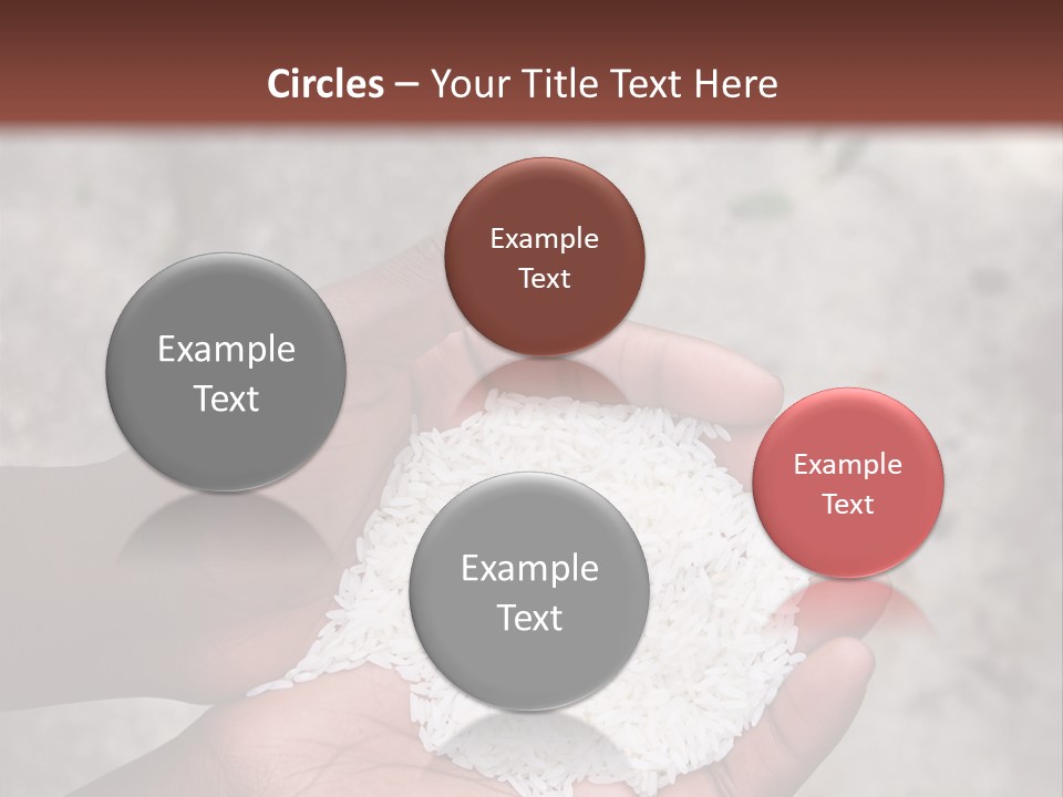 A Person Holding A White Substance In Their Hands PowerPoint Template