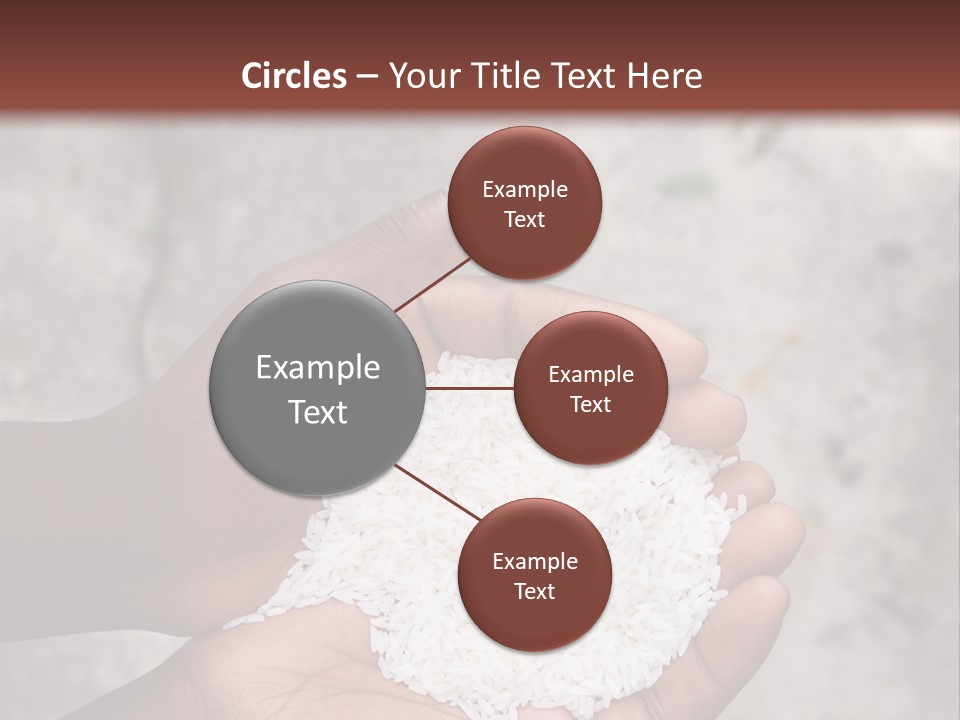 A Person Holding A White Substance In Their Hands PowerPoint Template