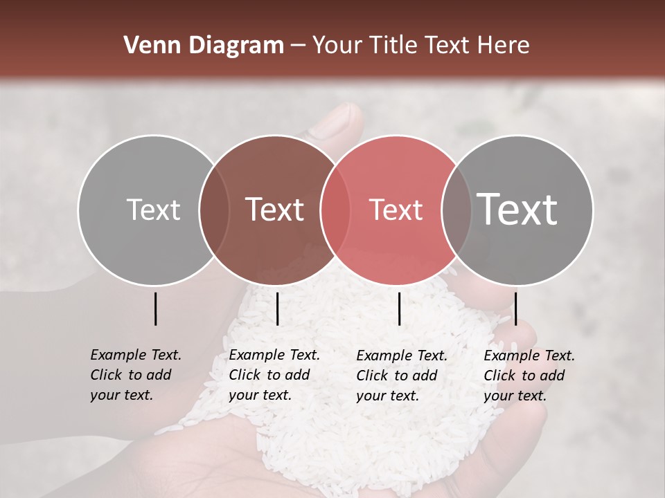 A Person Holding A White Substance In Their Hands PowerPoint Template