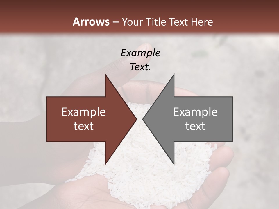 A Person Holding A White Substance In Their Hands PowerPoint Template