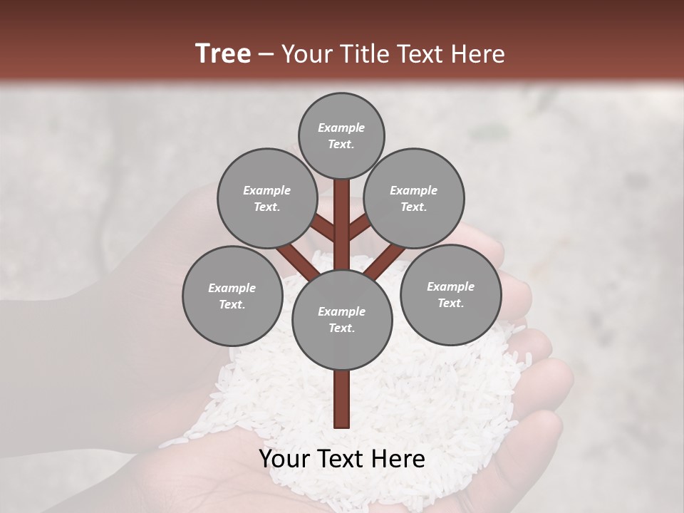 A Person Holding A White Substance In Their Hands PowerPoint Template