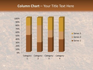 Earth Texture Close PowerPoint Template