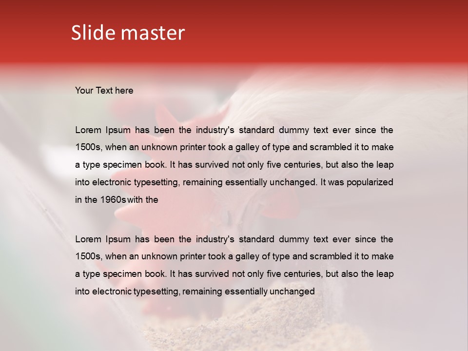 Farm Comb Rooster PowerPoint Template