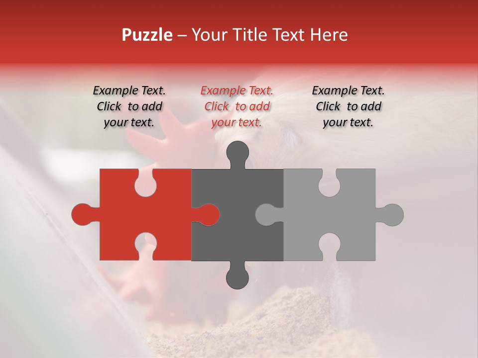 Farm Comb Rooster PowerPoint Template