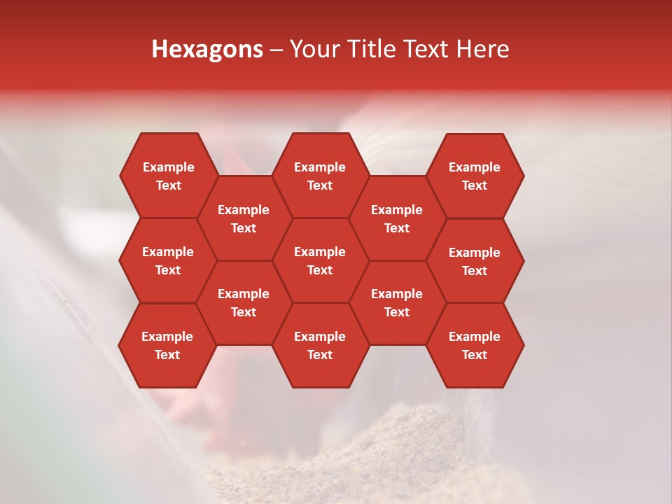 Farm Comb Rooster PowerPoint Template