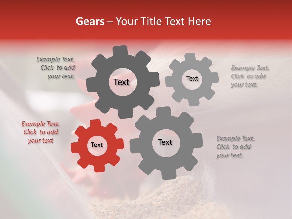 Farm Comb Rooster PowerPoint Template