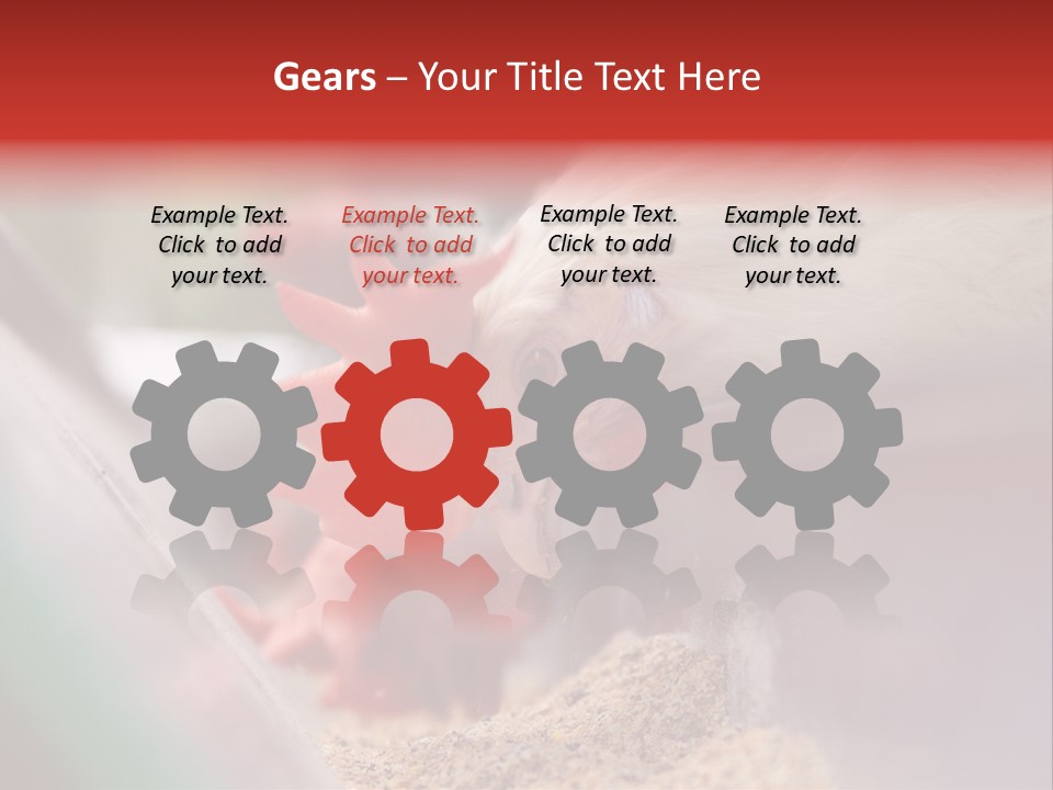 Farm Comb Rooster PowerPoint Template