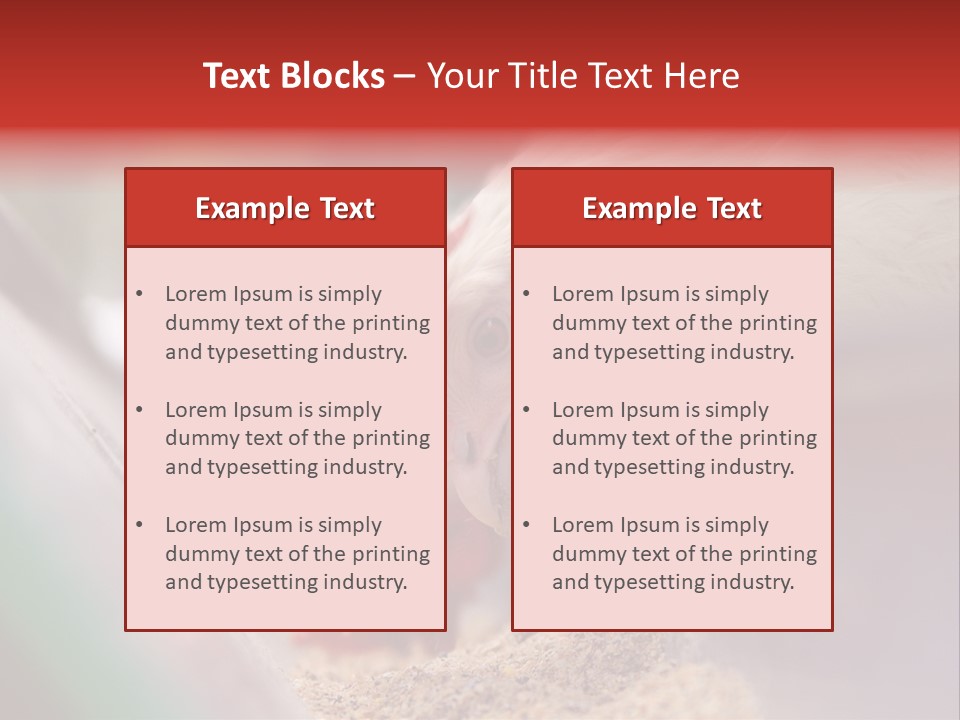 Farm Comb Rooster PowerPoint Template