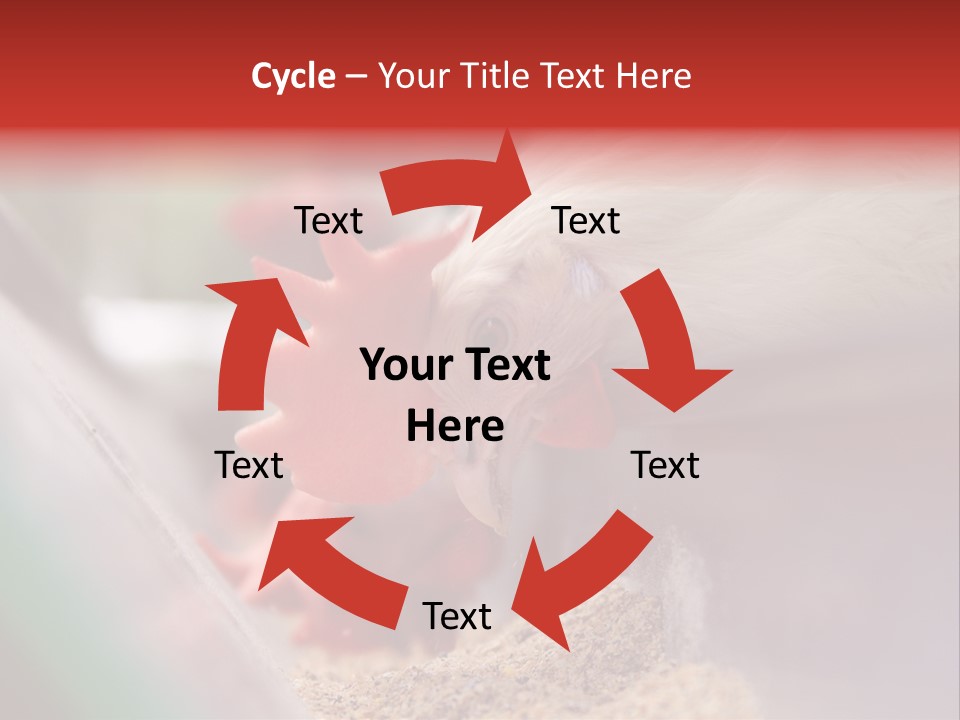 Farm Comb Rooster PowerPoint Template