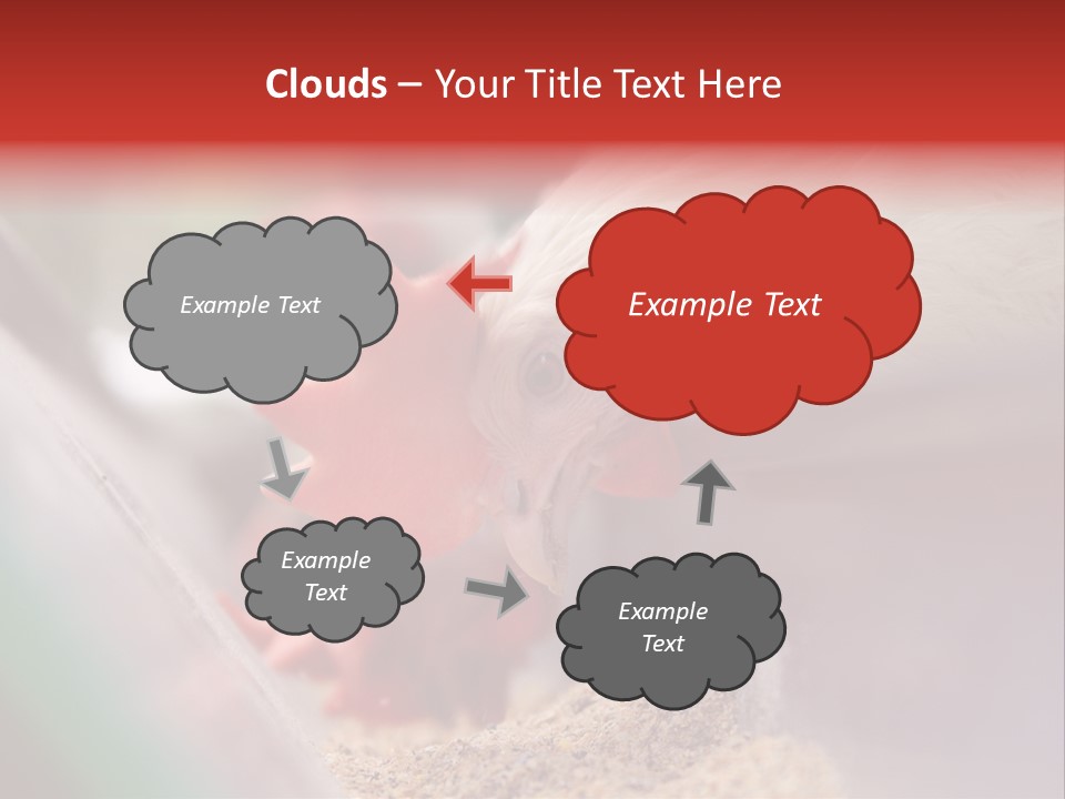 Farm Comb Rooster PowerPoint Template