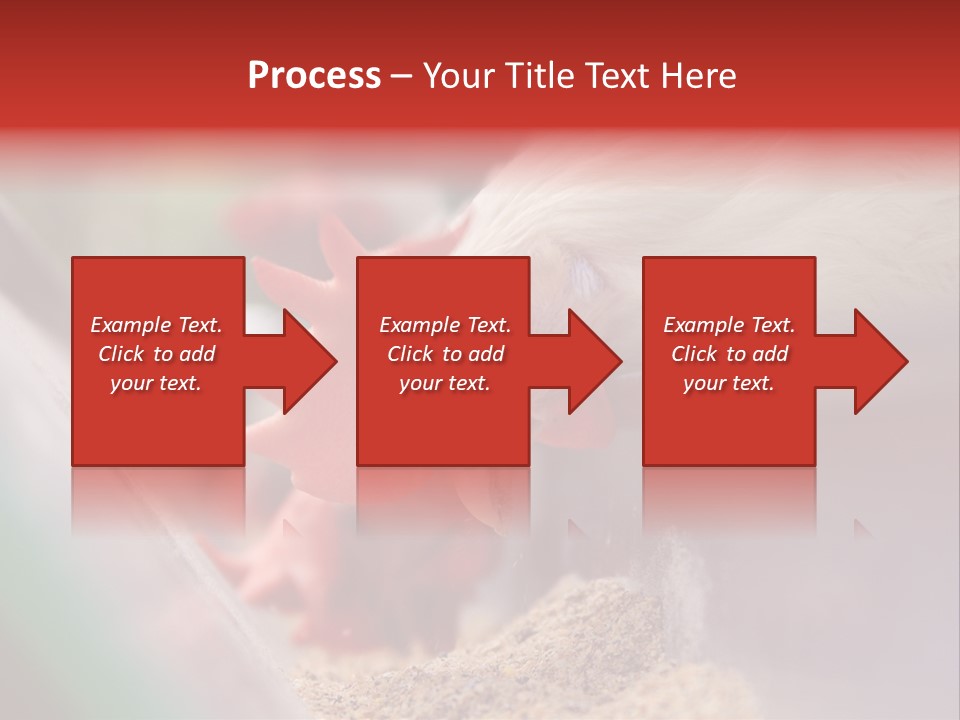Farm Comb Rooster PowerPoint Template