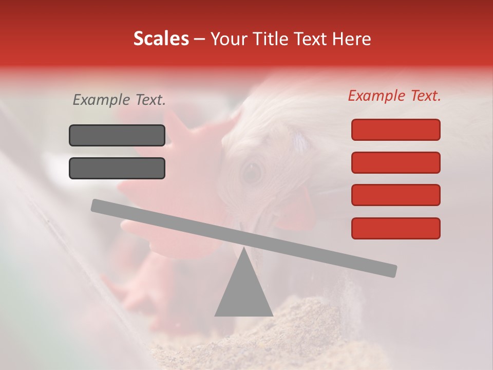 Farm Comb Rooster PowerPoint Template