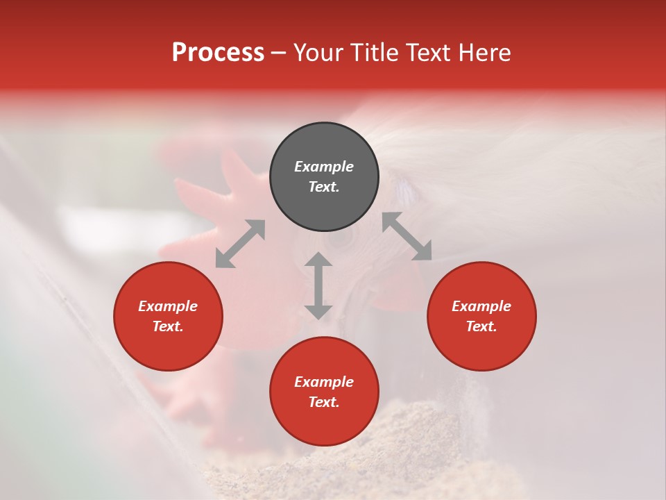 Farm Comb Rooster PowerPoint Template
