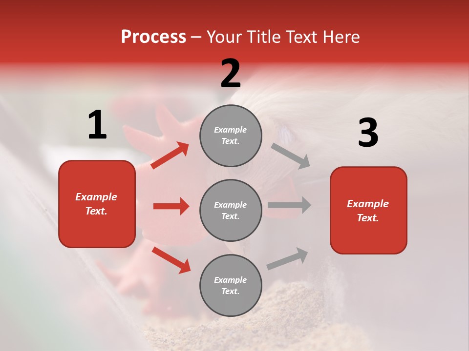 Farm Comb Rooster PowerPoint Template
