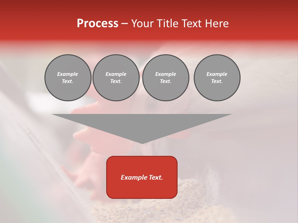 Farm Comb Rooster PowerPoint Template