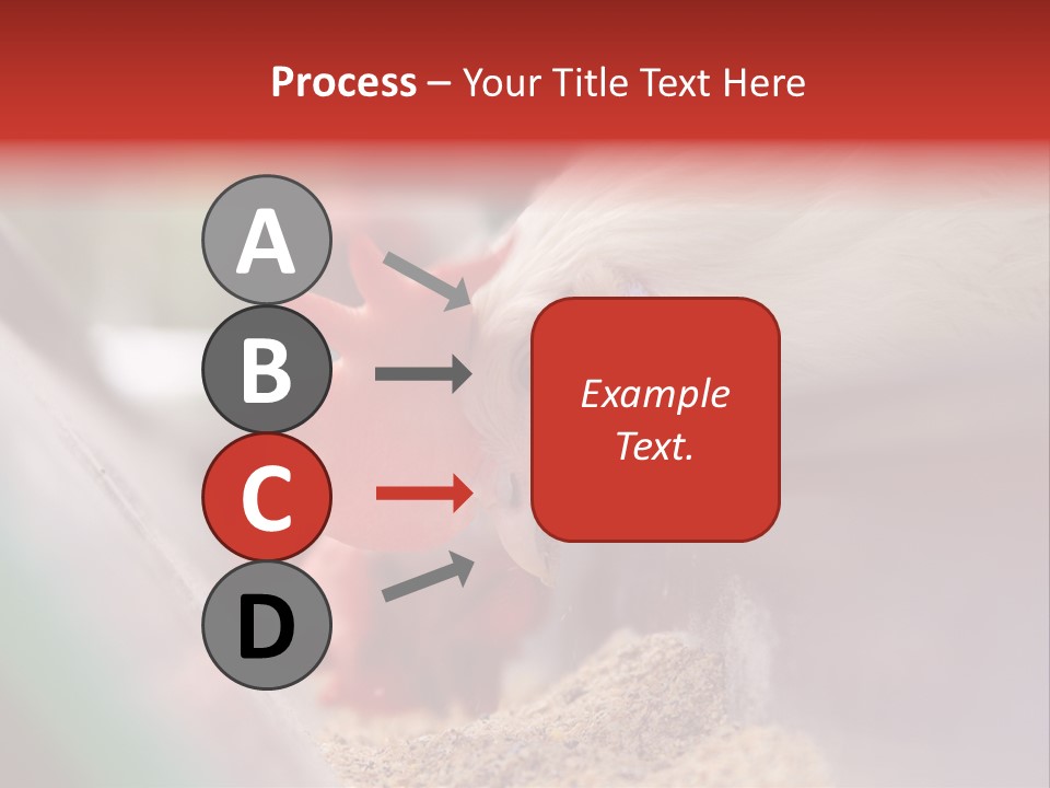 Farm Comb Rooster PowerPoint Template