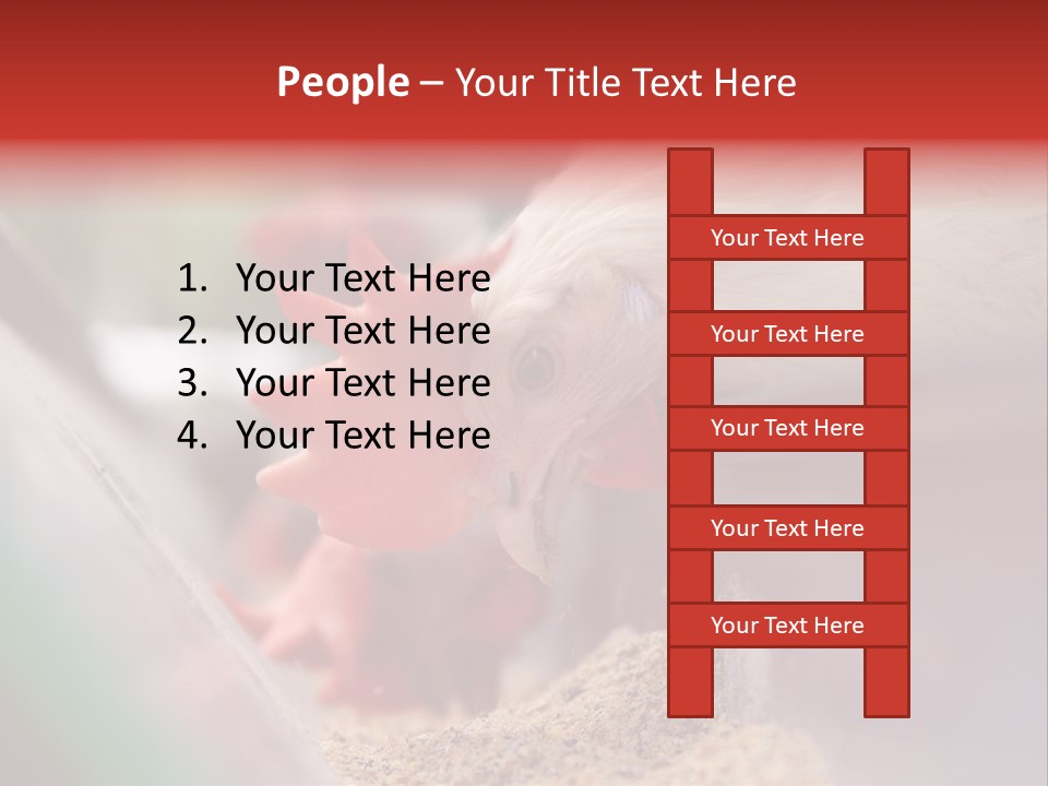 Farm Comb Rooster PowerPoint Template