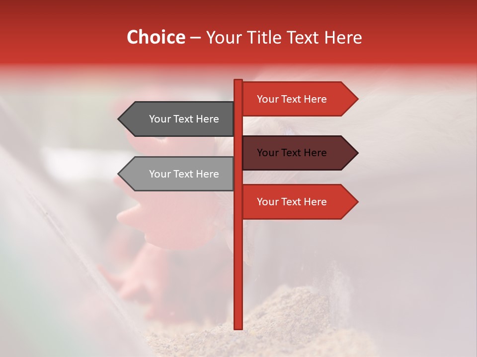 Farm Comb Rooster PowerPoint Template