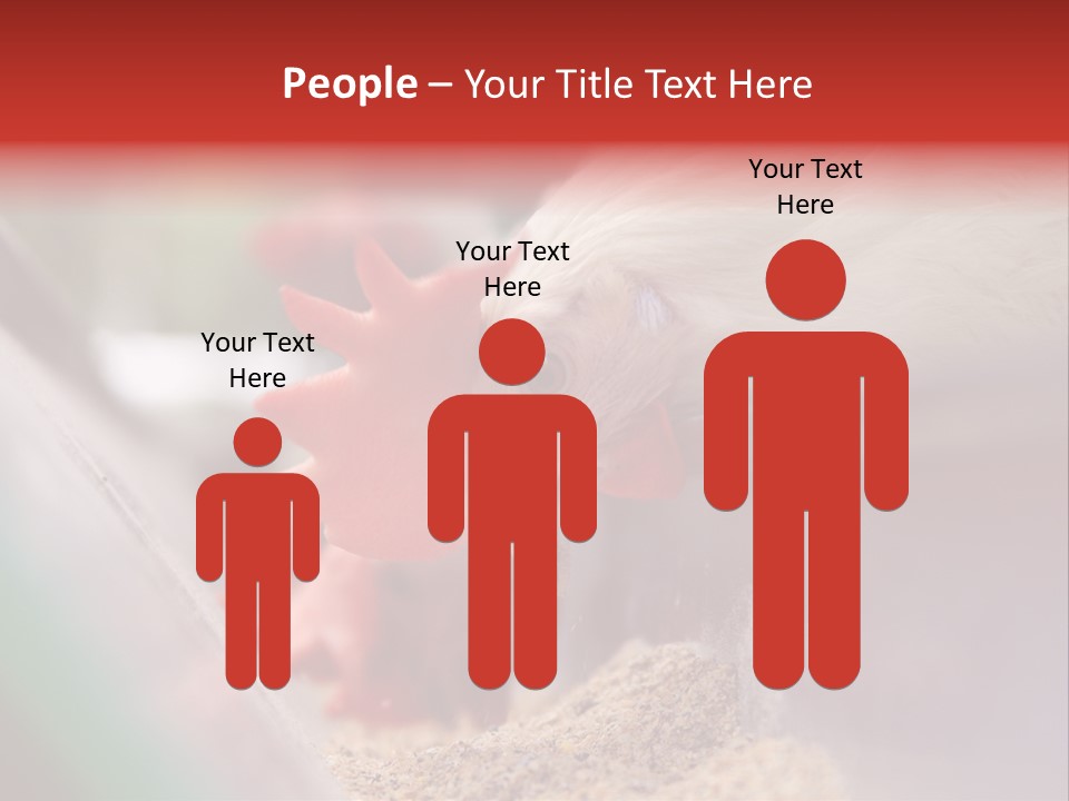 Farm Comb Rooster PowerPoint Template