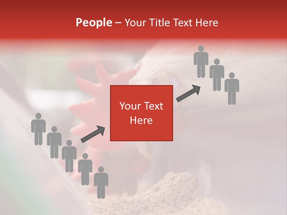 Farm Comb Rooster PowerPoint Template