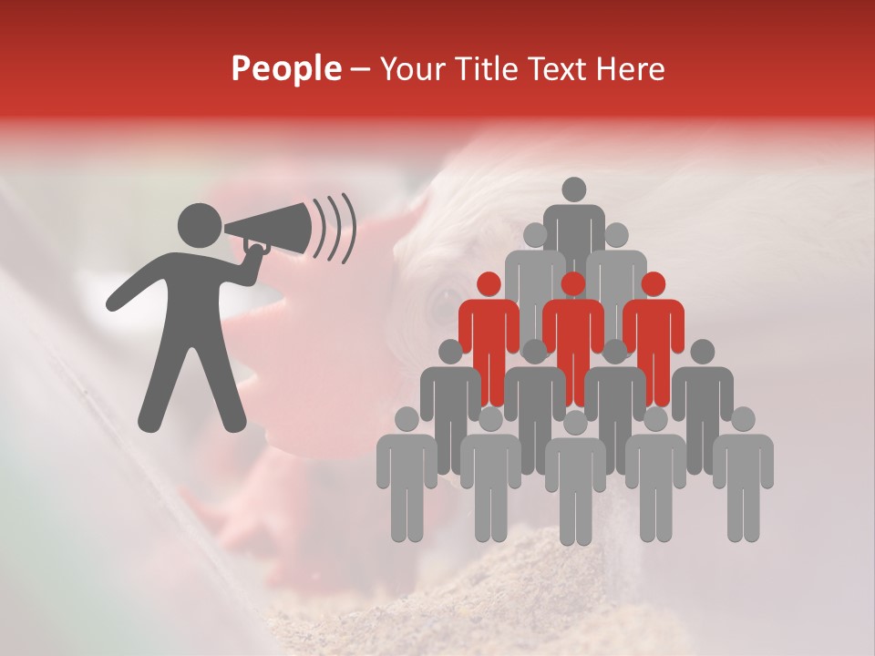 Farm Comb Rooster PowerPoint Template