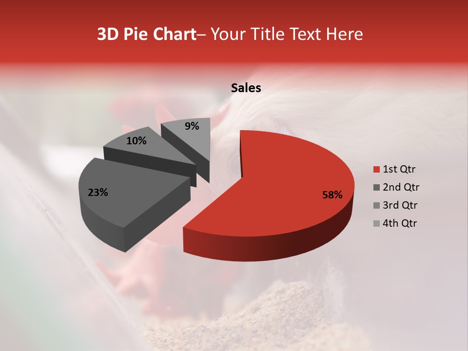 Farm Comb Rooster PowerPoint Template