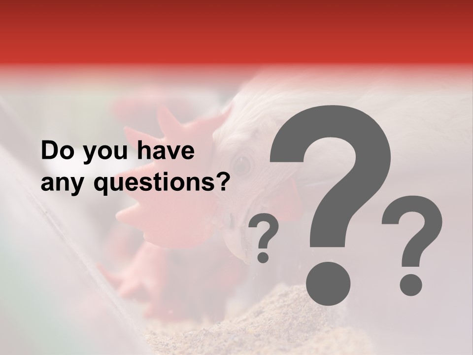 Farm Comb Rooster PowerPoint Template