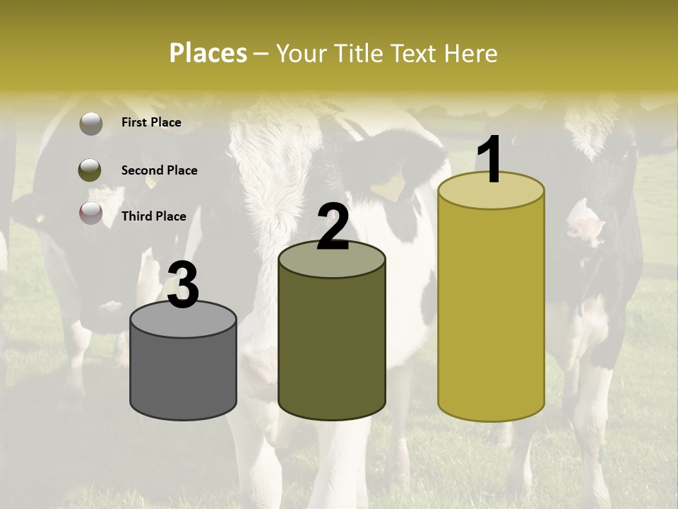 Herd Landscape Waltshire PowerPoint Template