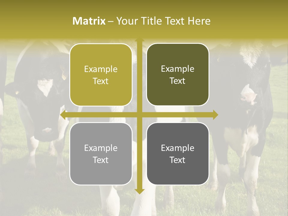 Herd Landscape Waltshire PowerPoint Template