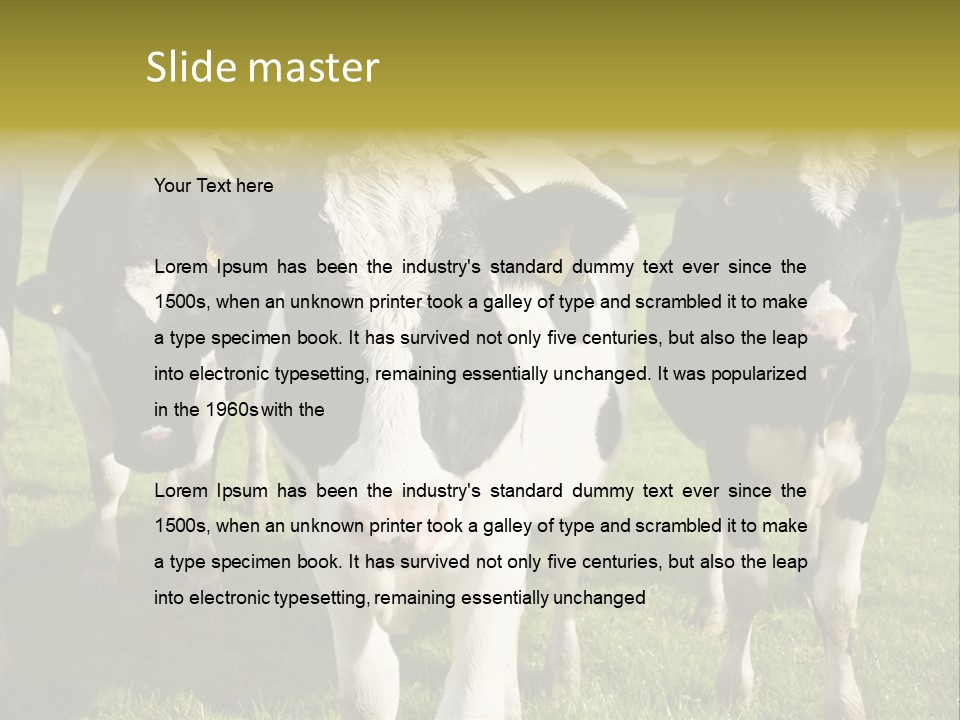Herd Landscape Waltshire PowerPoint Template
