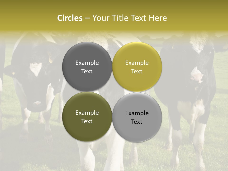 Herd Landscape Waltshire PowerPoint Template