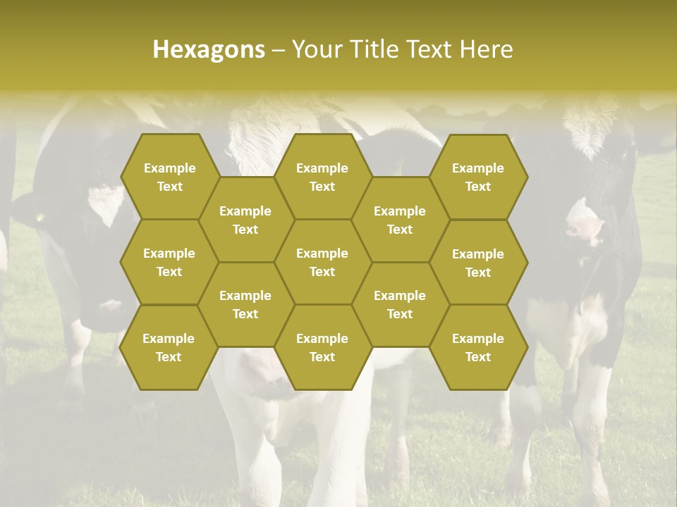 Herd Landscape Waltshire PowerPoint Template