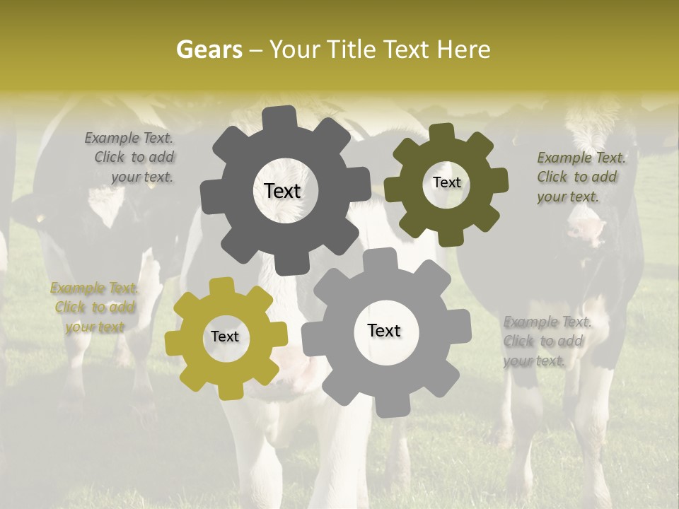 Herd Landscape Waltshire PowerPoint Template