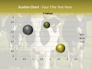 Herd Landscape Waltshire PowerPoint Template