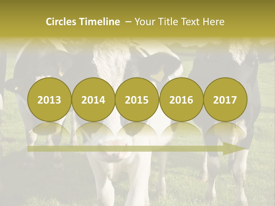 Herd Landscape Waltshire PowerPoint Template