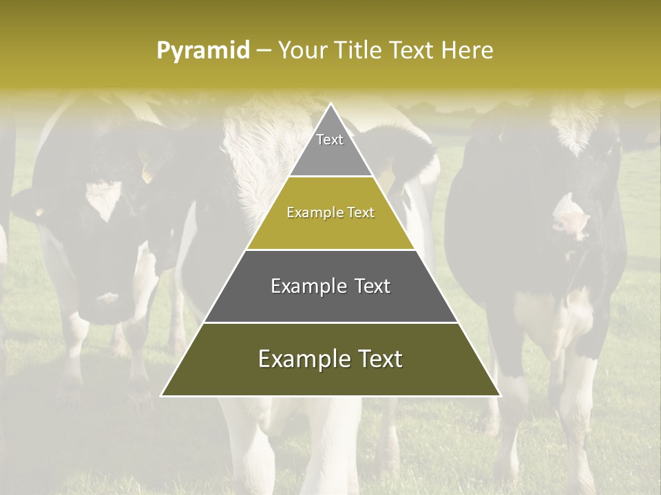 Herd Landscape Waltshire PowerPoint Template