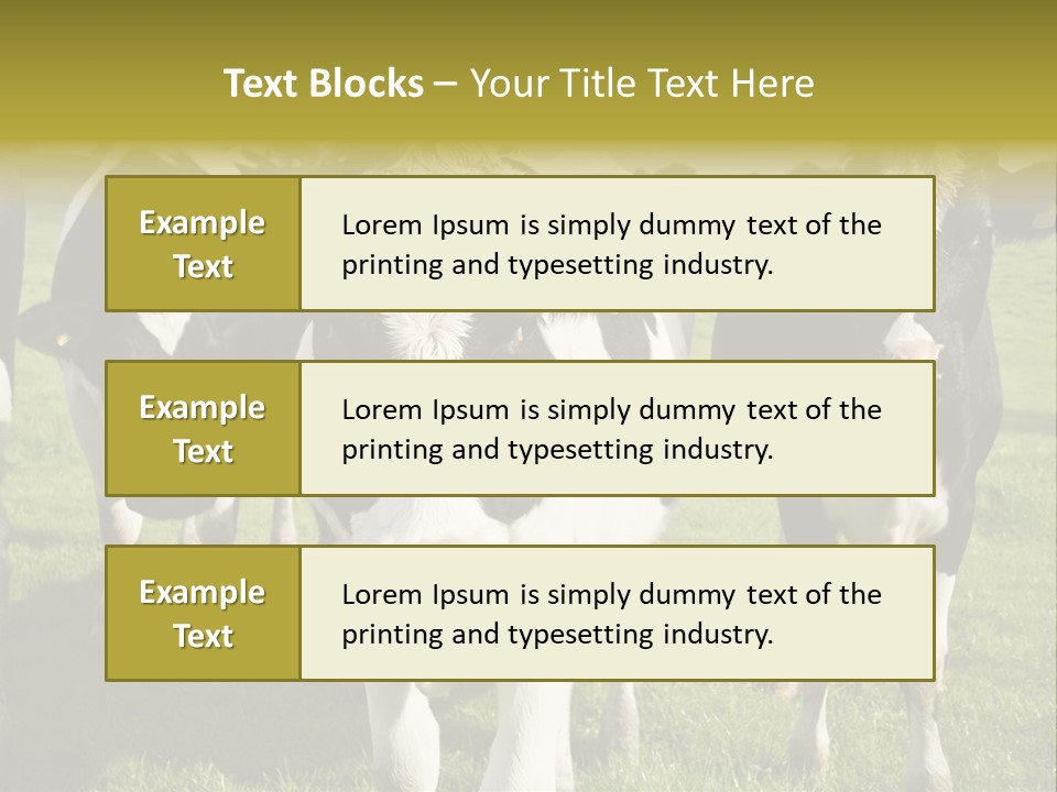 Herd Landscape Waltshire PowerPoint Template
