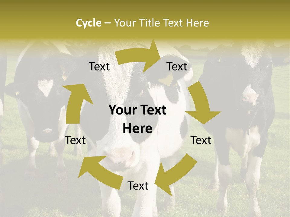 Herd Landscape Waltshire PowerPoint Template
