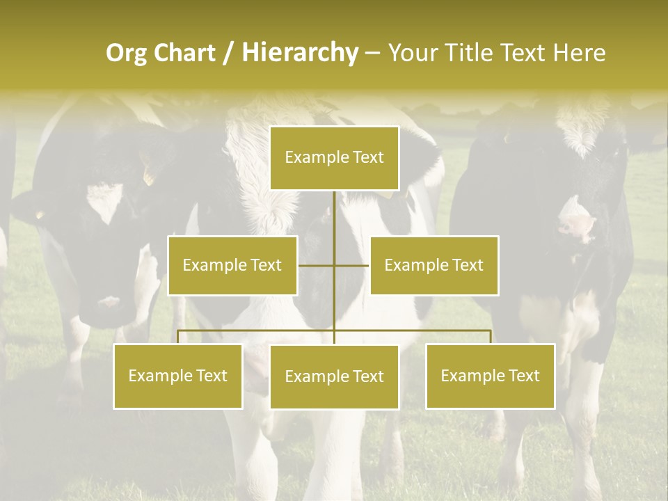 Herd Landscape Waltshire PowerPoint Template