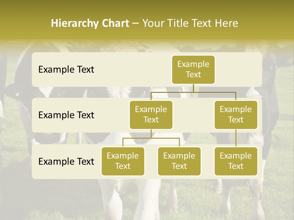 Herd Landscape Waltshire PowerPoint Template