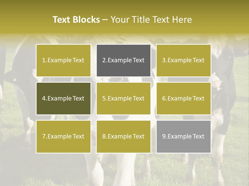 Herd Landscape Waltshire PowerPoint Template