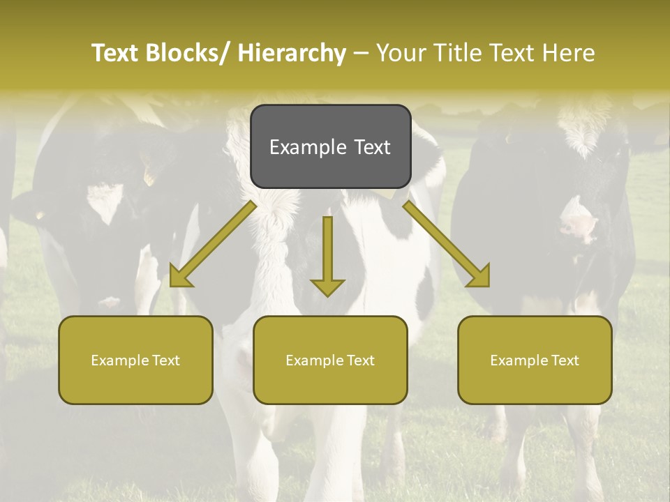 Herd Landscape Waltshire PowerPoint Template