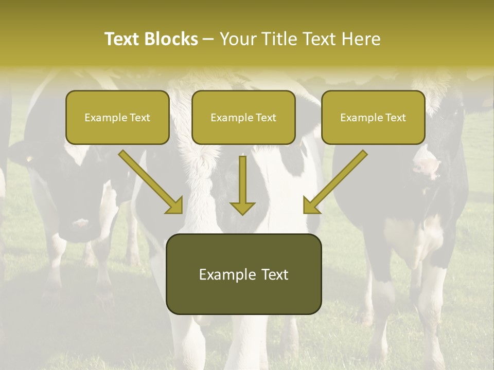 Herd Landscape Waltshire PowerPoint Template