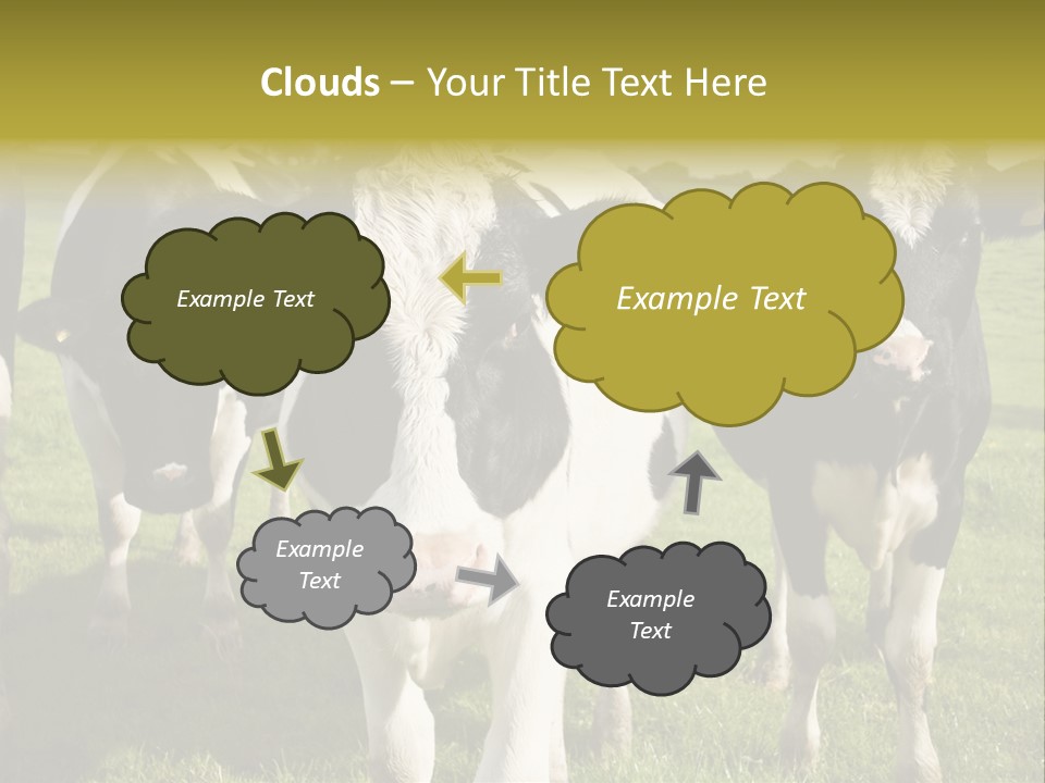 Herd Landscape Waltshire PowerPoint Template