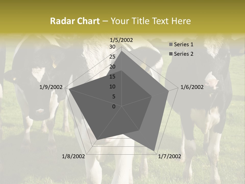 Herd Landscape Waltshire PowerPoint Template