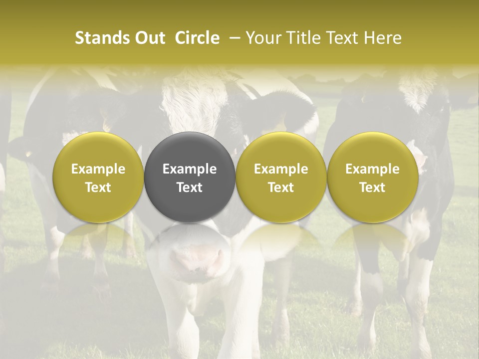 Herd Landscape Waltshire PowerPoint Template