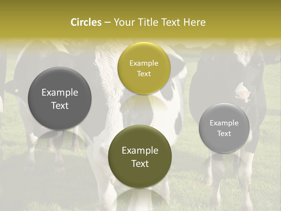 Herd Landscape Waltshire PowerPoint Template