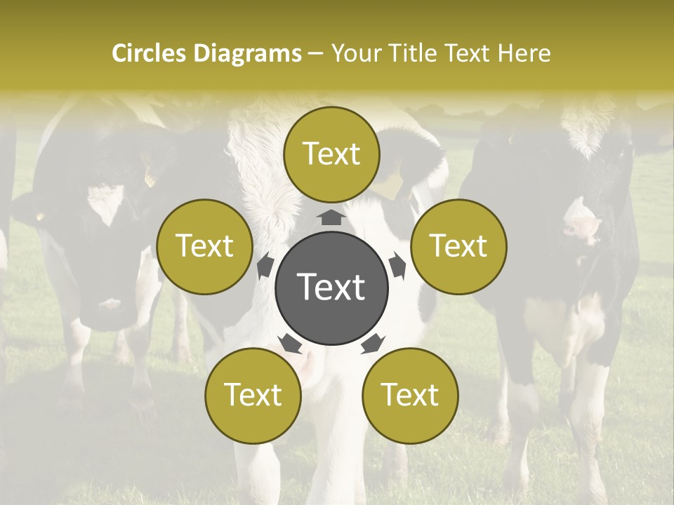 Herd Landscape Waltshire PowerPoint Template