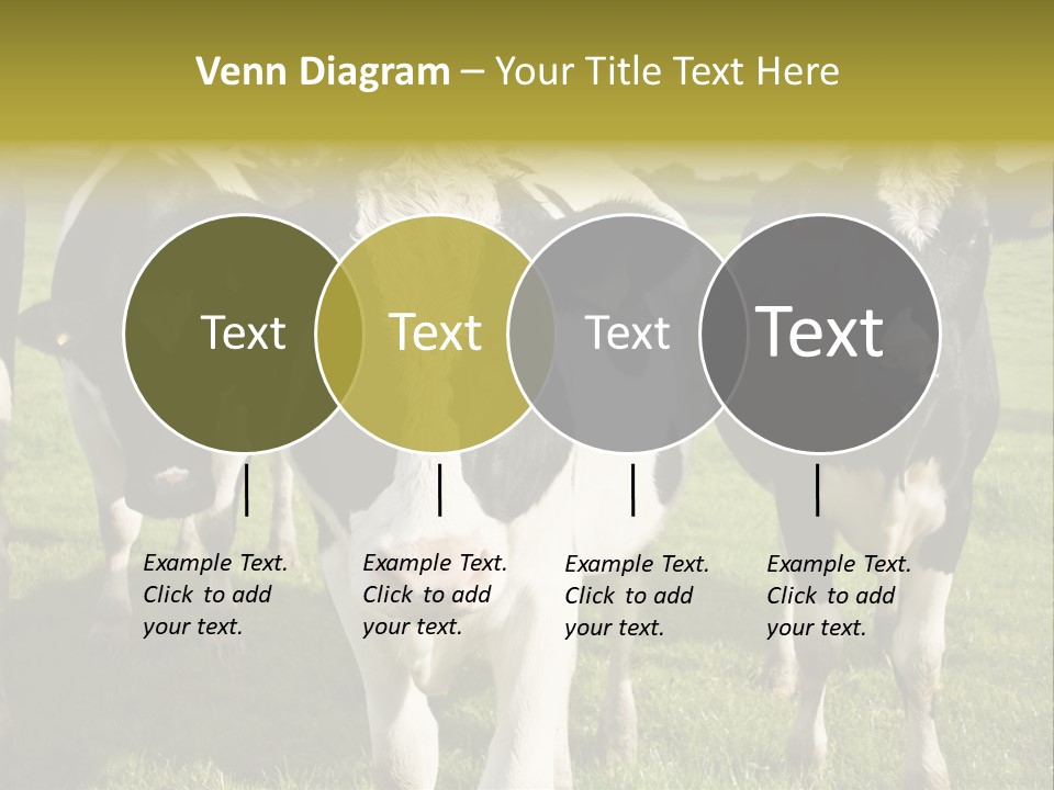 Herd Landscape Waltshire PowerPoint Template