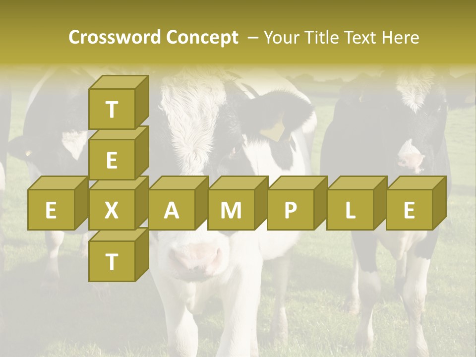 Herd Landscape Waltshire PowerPoint Template